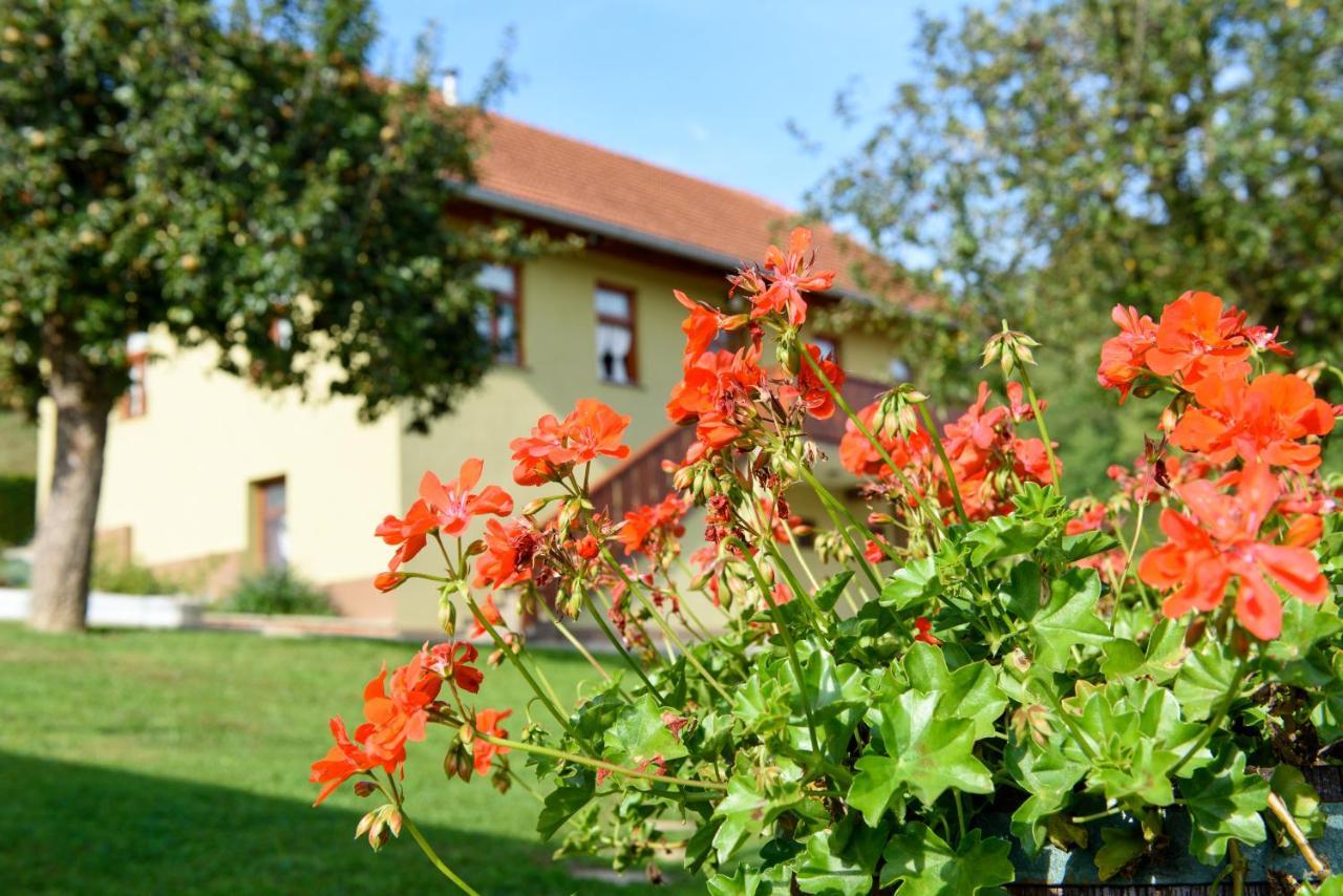 Ruralna Kuca 'Villa Zagorka' Za Odmor Sa Bazenom I Bocalistem Donja Pacetina Exteriér fotografie