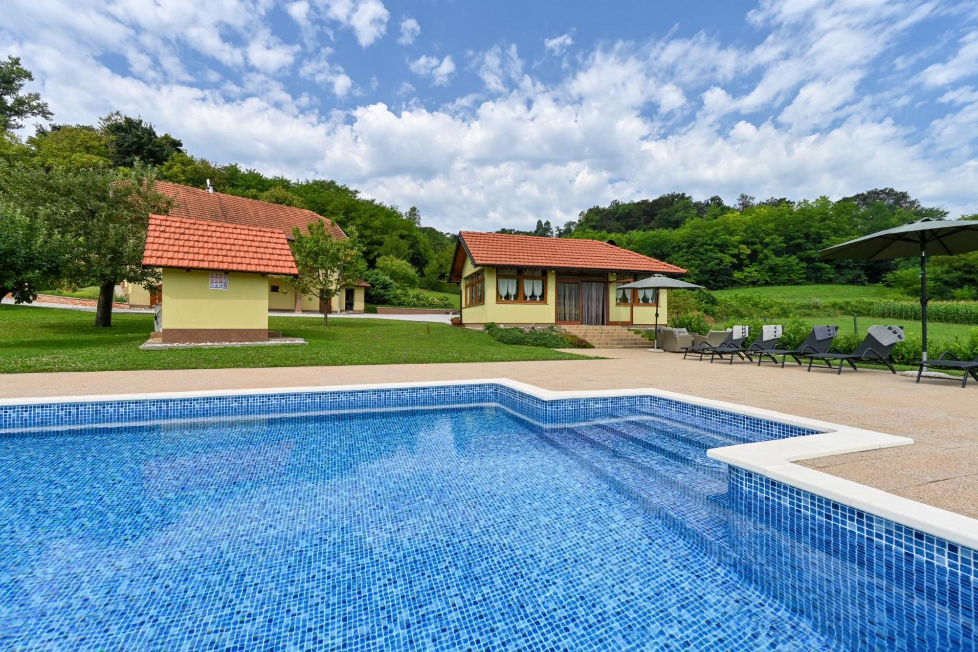 Ruralna Kuca 'Villa Zagorka' Za Odmor Sa Bazenom I Bocalistem Donja Pacetina Exteriér fotografie